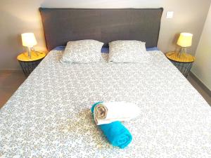 Maisons de vacances Le Clos Andree - Charmante maison - Zone Nord Montauban - 8 couchages - 3 chambres - Jardin - Parking 3 vehicules - Garage - Climatisation : photos des chambres