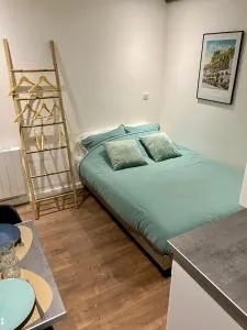 Studette cœur de ville - Saône