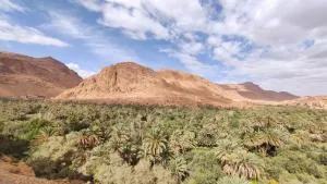 Palmeraie Guest House - Timatraouine