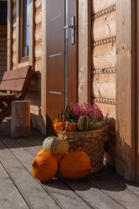 Drewniana Osada w Górach Polne Domki