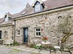 Buzzards Watch - Llansawel