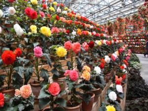 Kuwana Park Hotel - Vacation STAY 66857v