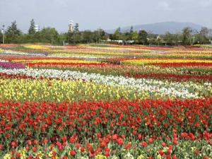 Kuwana Park Hotel - Vacation STAY 66818v