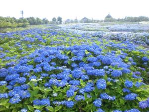 Kuwana Park Hotel - Vacation STAY 66850v