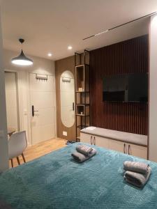 Downtown Studio Apartments