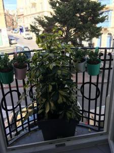 Cozy apartment Gzira or Sliema Race1