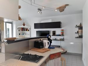 Appartement cosy, 4 pers, proche plages et centre, BBQ, parking, Wifi inclus - FR-1-239-943