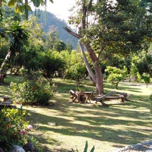 At Home Chiang Dao, Pooch Lovers