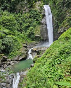 Guest house lagodekhi