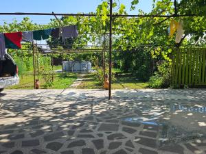 Guest house lagodekhi