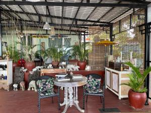 Blue Indigo yoga Cambodia