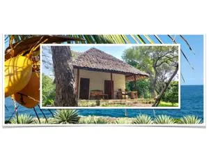 Cove House House 60 m2 Creekside Indian Ocean - Funzi