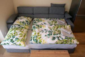 Apartmány Family Nová Lesná