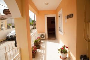 Stella Studios Kefalloniá Greece