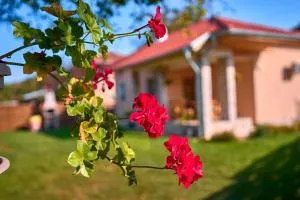 Villa Simida - Turski-Lyeshnik Aladanli