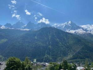 Appartements PlanPraz - Mont Blanc view : photos des chambres