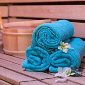 Hotel Belaria Resort - wellness, bazén - Slavkov