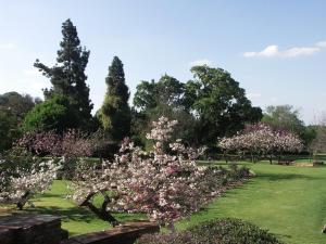 Lovely House with Big Garden Parktown North