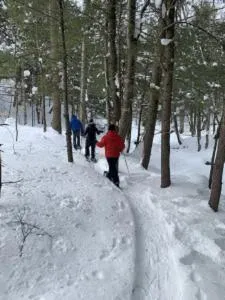 paradis sauvage geronimo - Austin