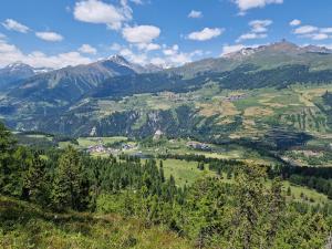 3304 Preislich attraktives Studio im alpinen Stil