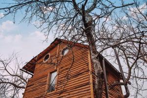 Apple Tree Cabin (Friendship Land)