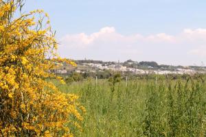 B&b Elda Salento