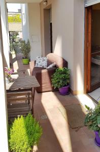 Palazzo Wanny Free Parking & Terrace