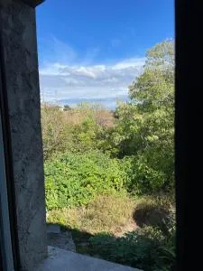 Las Vignes Zimer 1 - Où le calm apaise l'âme - Vazerac