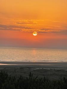 Appartement Studio 35 m2 face à lOcean