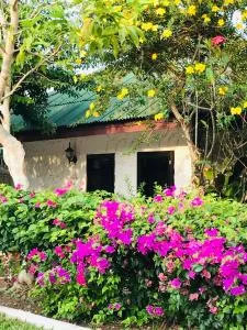 Guest House, shared pool, private bathroom and kitchen - Ban Laem Hin