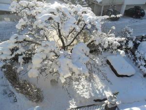 Haus Sabine Braunegger