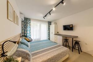 Roman Thermae Central Studio