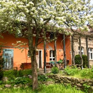 Finca in Brandenburg Ferienhaus mit Sauna