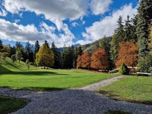 9303 Gemuetliches, zweckmaessig eingerichtetes Studio mit Balkon und Golfplatzblick