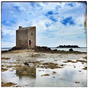 Maisons de vacances Le gite des Algues : photos des chambres