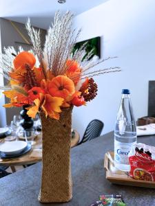 Appartements La foret Enchantee - Cozy Immo : photos des chambres
