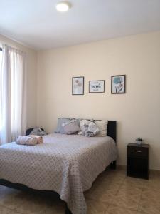 Alquiler Temporal Bonita Casa Jardín Cochabamba