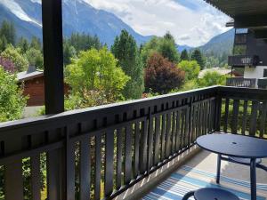2 Pièces Vue Mont Blanc avec Balcon - Chamonix, Animaux acceptés - FR-1-517-19