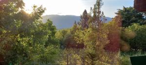 Cafuné Cabañita Sur