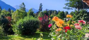 Ferienwohnung Soiernblick Krün Bärnbichl