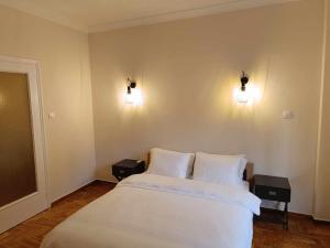 Simply Athens Apartment