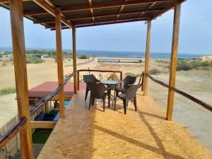 Merlin Feliz - Canoas