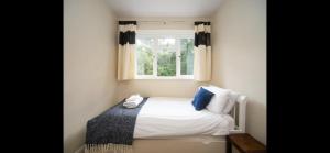 Chessington Blue with parking