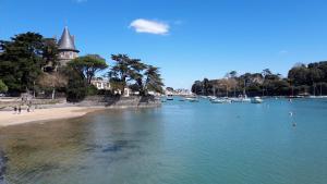 Appartements Studio : photos des chambres