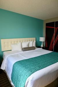 1 King Bed, Mobile Accessible Room, Bathtub w/ Grab Bars, Non-Smoking room in Howard Johnson by Wyndham Near Schlitterbahn