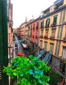 San Gennaro House 202