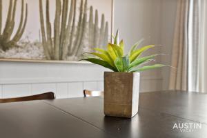 Pets Welcome Great Space Backyard Near Zilker