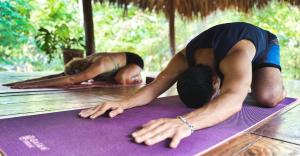 the SPACE Jungle Oasis