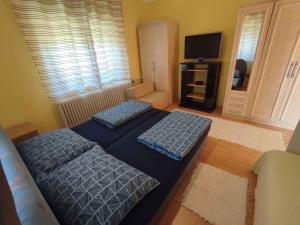 Holiday home in Siofok - Balaton 45811