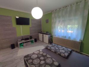 Holiday home in Siofok - Balaton 45811